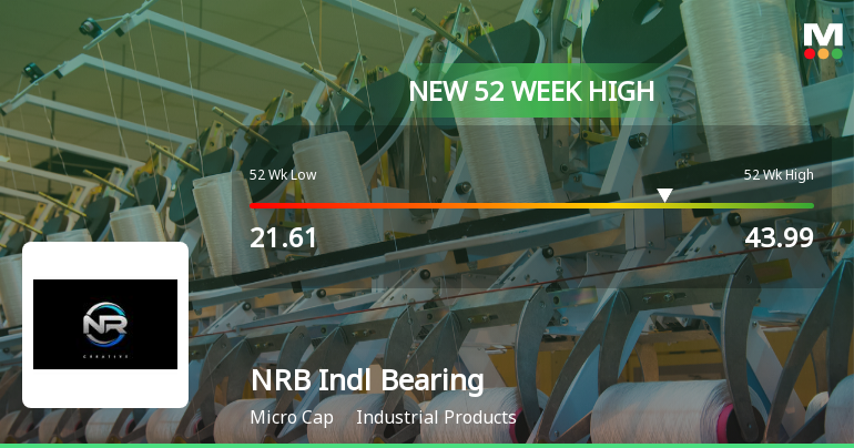 Broad-Based Technical Strength Lifts NRB Industrial Bearings Ltd to 52-Week High of Rs 43.99