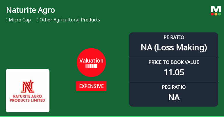 Valuation Shift Raises Concerns for Naturite Agro Products Ltd Amid Mixed Returns