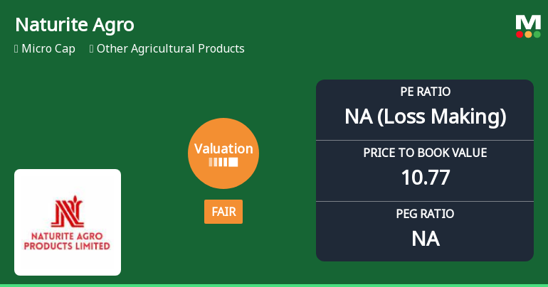 Valuation Shift Marks Naturite Agro Products Ltd as Fairly Priced Amid Market Volatility