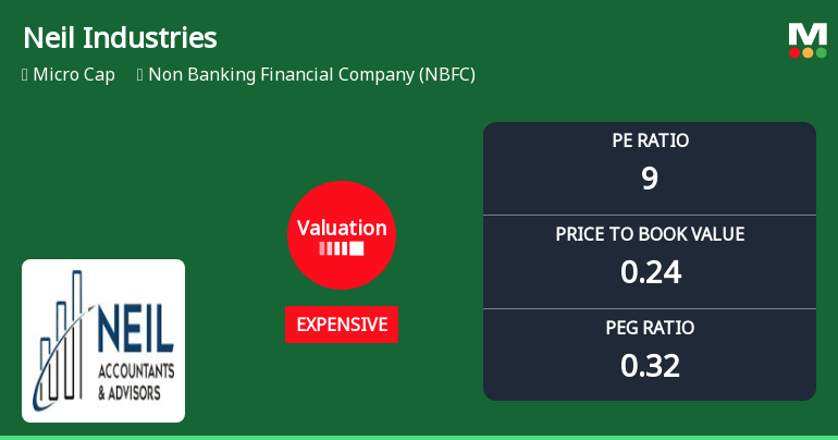 Neil Industries Ltd Valuation Shifts Signal Price Attractiveness Concerns