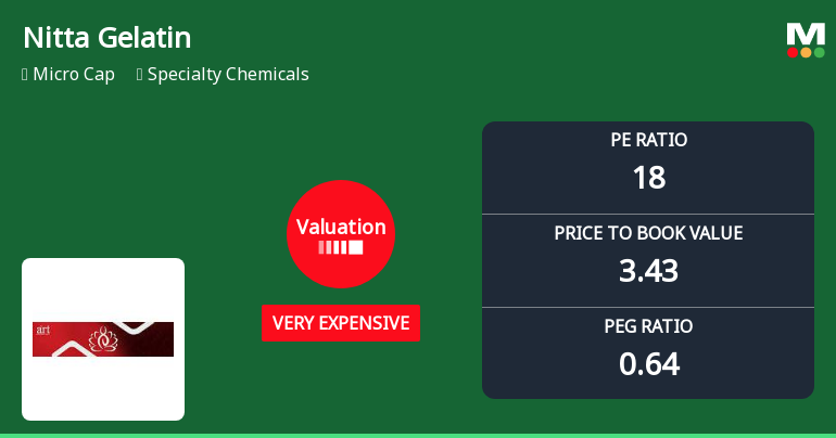 Nitta Gelatin India Ltd Valuation Shifts Amid Strong Market Performance
