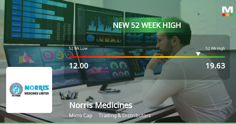 Broad-Based Technical Strength Lifts Norris Medicines Ltd to 52-Week High of Rs 19.63