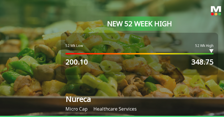 Broad-Based Technical Strength Lifts Nureca Ltd to 52-Week High of Rs 348.75