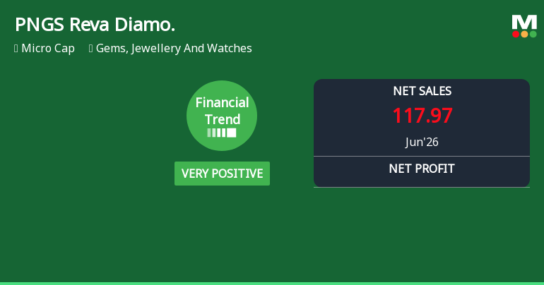 PNGS Reva Diamond Jewellery Reports Very Positive Quarterly Financial Performance Amid Margin Expansion