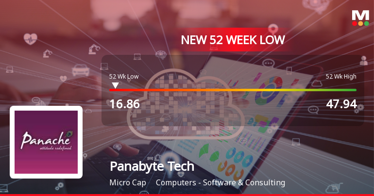 Panabyte Technologies Ltd Falls to 52-Week Low of Rs 16.86 as Sell-Off Deepens