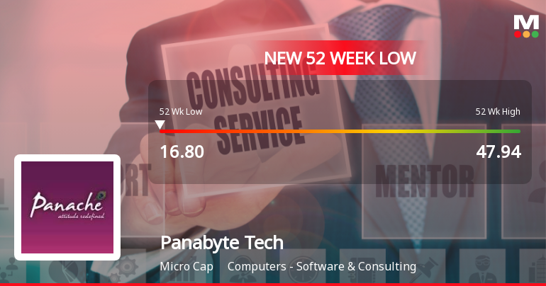 Panabyte Technologies Ltd Falls to 52-Week Low of Rs 16.8 as Sell-Off Deepens