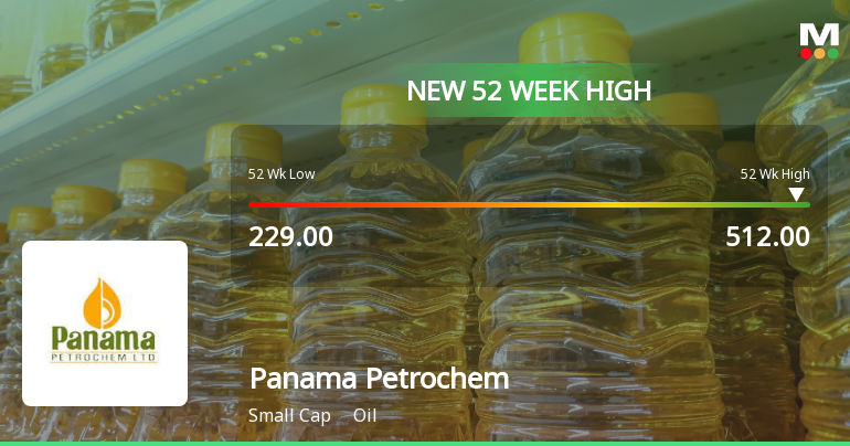 Broad-Based Technical Strength Lifts Panama Petrochem Ltd to 52-Week High of Rs 519.15