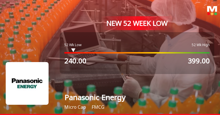 Panasonic Energy India Company Ltd Falls to 52-Week Low of Rs 240 as Sell-Off Deepens