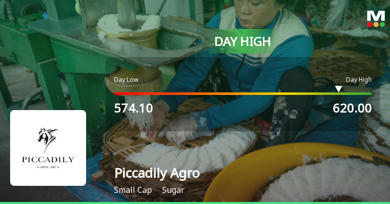 Piccadily Agro Industries Ltd Surges 7.28% to Day's High of Rs 612.35 — Outperforms Sugar Sector by 4.43 Percentage Points
