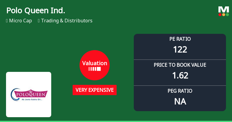 Polo Queen Industrial and Fintech Ltd Valuation Shifts Signal Heightened Price Risk