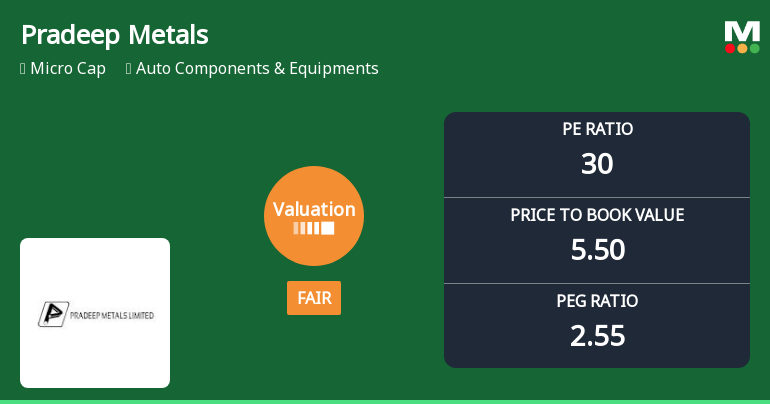 Pradeep Metals Ltd Valuation Shifts Signal Renewed Price Attractiveness