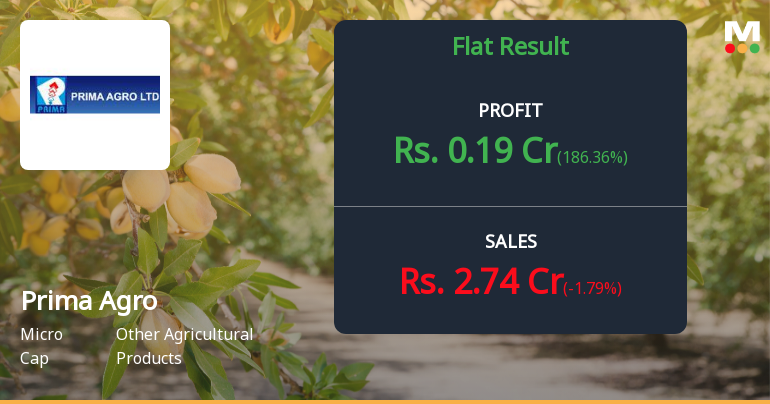 Prima Agro Ltd Q1 FY27: Profitability Returns But Mounting Concerns Persist