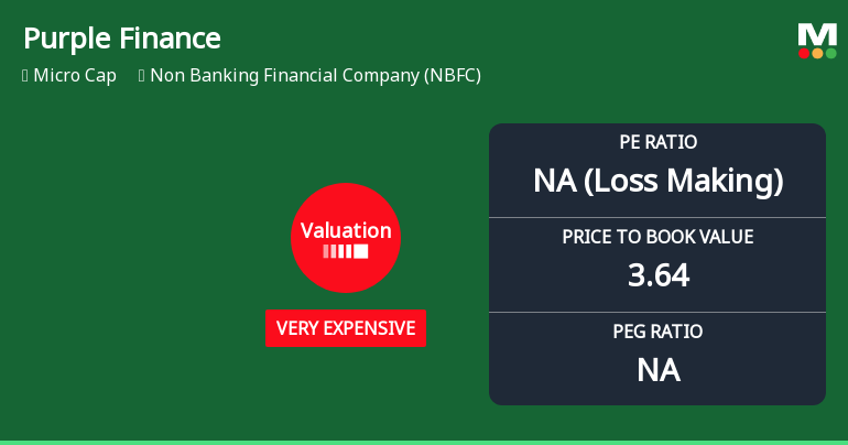 Purple Finance Ltd Valuation Shifts Signal Elevated Price Risk Amid Strong Returns