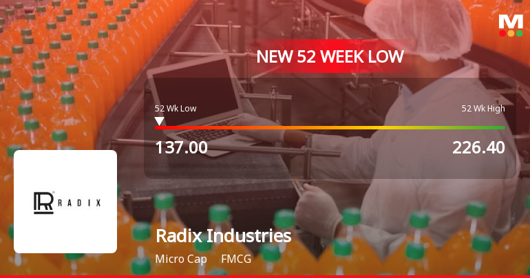 Radix Industries Falls to 52-Week Low of Rs 137 as Sell-Off Deepens