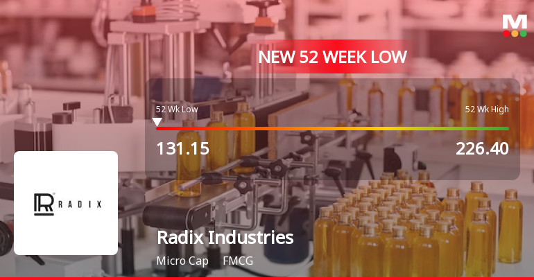 Radix Industries Falls to 52-Week Low of Rs 131.15 as Sell-Off Deepens