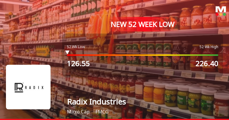 Radix Industries Falls to 52-Week Low of Rs 126.55 as Sell-Off Deepens