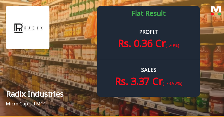 Radix Industries Q1 FY27: Revenue Plunges 73.92% QoQ Amid Sharp Seasonal Downturn