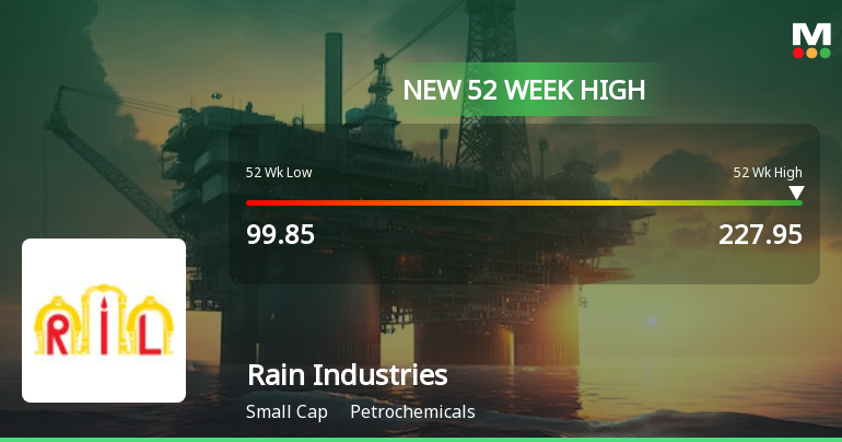 Broad-Based Technical Strength Lifts Rain Industries Ltd to 52-Week High of Rs 227.95