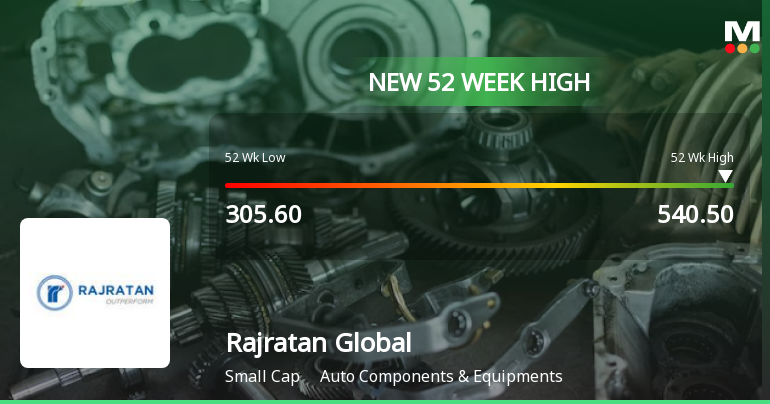 Broad-Based Technical Strength Lifts Rajratan Global Wire Ltd to 52-Week High of Rs 541.65