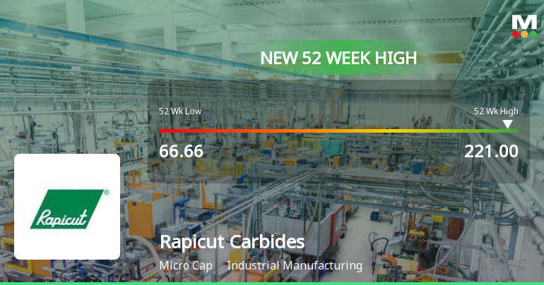 Broad-Based Technical Strength Lifts Rapicut Carbides Ltd to 52-Week High of Rs 221