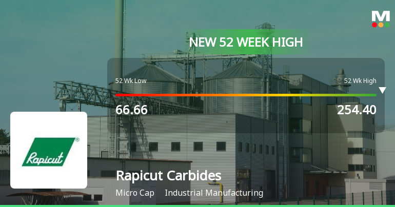 Broad-Based Technical Strength Lifts Rapicut Carbides Ltd to 52-Week High of Rs 254.4