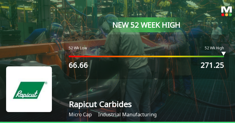 Broad-Based Technical Strength Lifts Rapicut Carbides Ltd to 52-Week High of Rs 271.25
