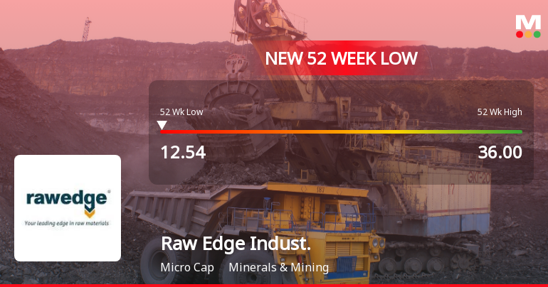 Raw Edge Industrial Solutions Ltd Falls to 52-Week Low of Rs 12.54 as Sell-Off Deepens