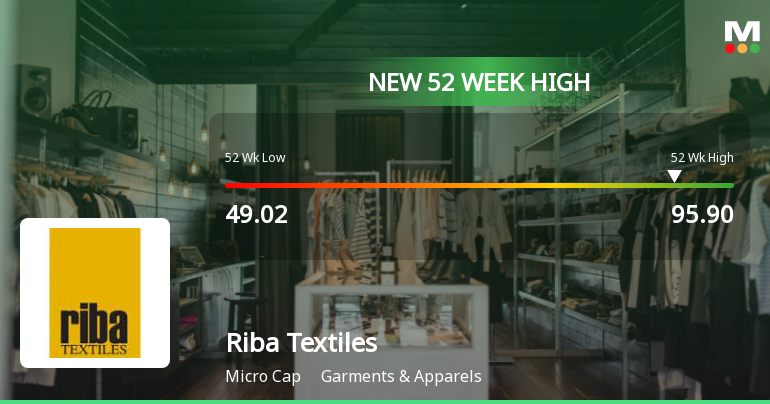 Broad-Based Technical Strength Lifts Riba Textiles Ltd to 52-Week High of Rs 95.9