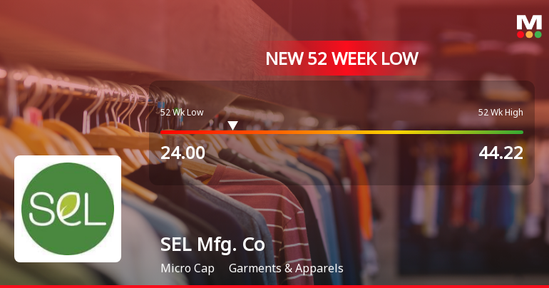 SEL Manufacturing Company Ltd Falls to 52-Week Low of Rs 24 as Sell-Off Deepens