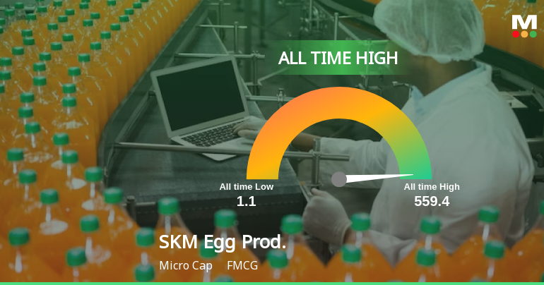 SKM Egg Products Export (India) Ltd Hits All-Time High of Rs 324 as Momentum Builds Across Timeframes