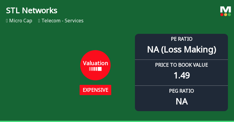 STL Networks Ltd Valuation Shifts Signal Price Attractiveness Decline Amid Sector Challenges