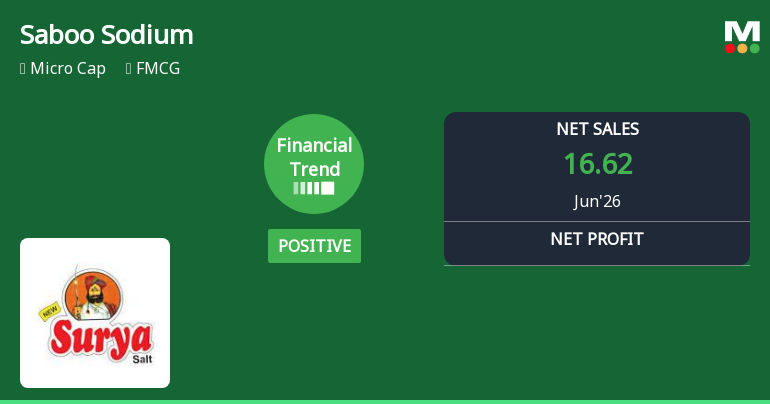 Saboo Sodium Chloro Ltd Reports Strong Quarterly Turnaround Amid Challenging Market