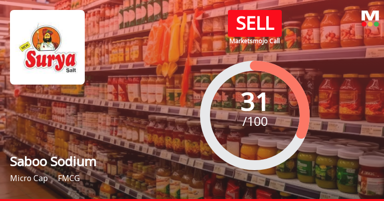 Saboo Sodium Chloro Ltd Upgraded to Sell on Technical Improvements Despite Weak Fundamentals