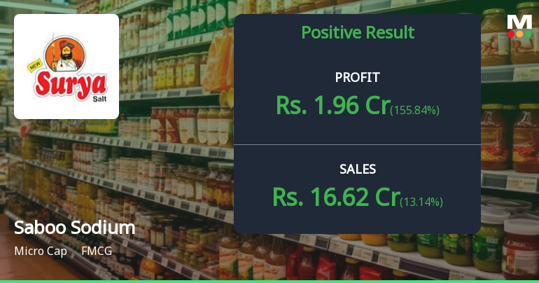 Saboo Sodium Chloro Q1 FY27: Profit Surge Masks Deeper Structural Concerns