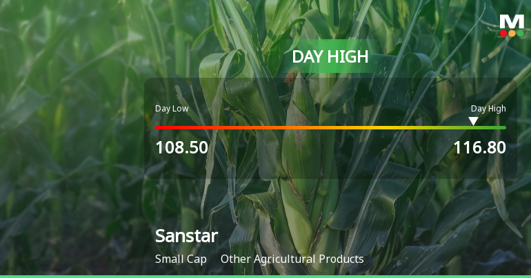 Sanstar Ltd Surges 7.26% to Day's High of Rs 116.7 — Outperforms Sector by 6.3 Percentage Points