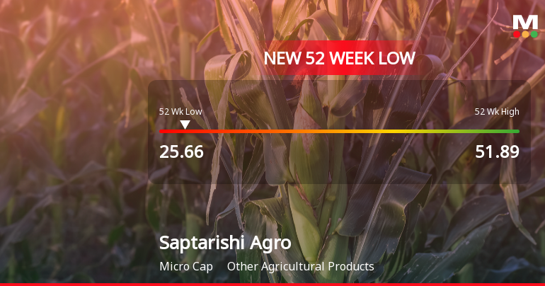Saptarishi Agro Industries Ltd Falls to 52-Week Low of Rs 25.66 as Sell-Off Deepens