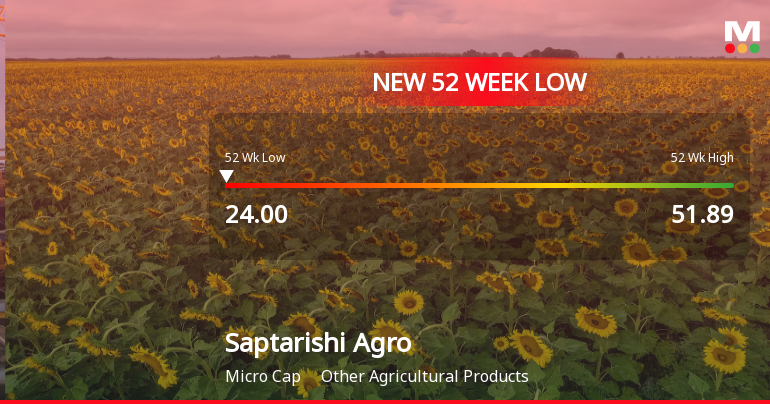 Saptarishi Agro Industries Ltd Falls to 52-Week Low of Rs 24 as Sell-Off Deepens