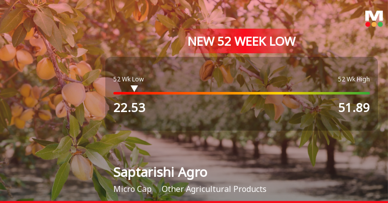 Saptarishi Agro Industries Ltd Falls to 52-Week Low of Rs 22.53 as Sell-Off Deepens