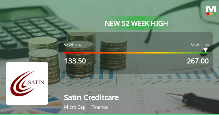 Broad-Based Technical Strength Lifts Satin Creditcare Network Ltd to 52-Week High of Rs 267