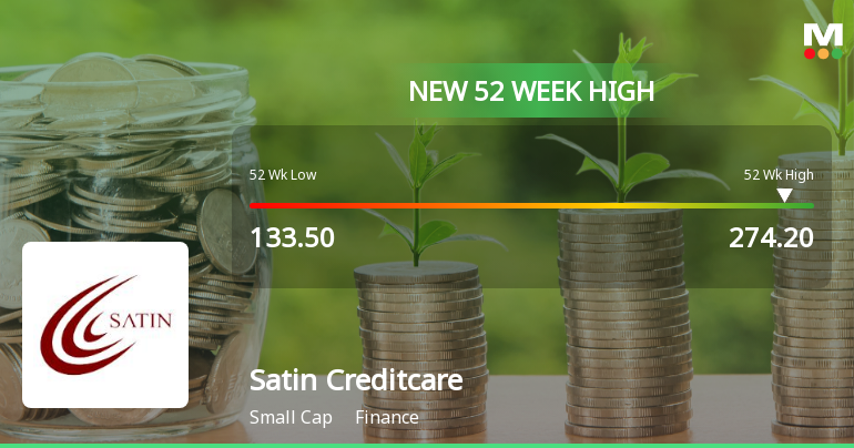 Broad-Based Technical Strength Lifts Satin Creditcare Network Ltd to 52-Week High of Rs 274.2