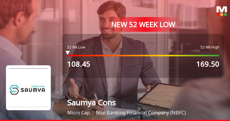 Markets Rally, But Saumya Consultants Ltd Sinks to 52-Week Low in Stock-Specific Sell-Off