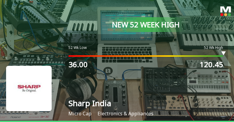 Broad-Based Technical Strength Lifts Sharp India Ltd to 52-Week High of Rs 120.45