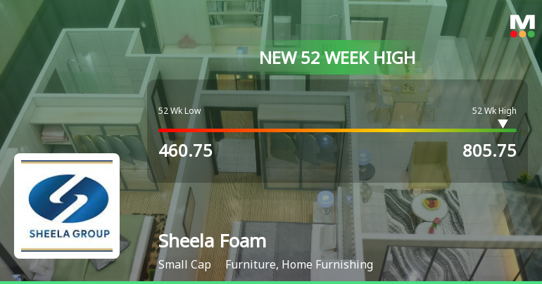 Broad-Based Technical Strength Lifts Sheela Foam Ltd. to 52-Week High of Rs 805.75