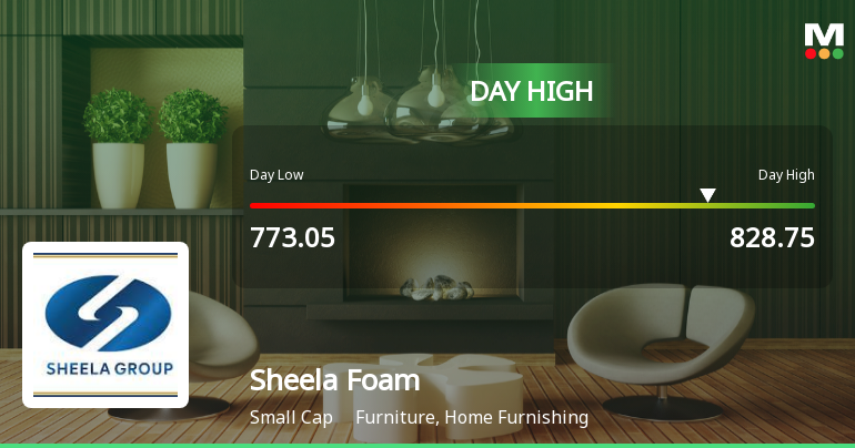 Sheela Foam Ltd. Rallies 7.08% and Approaches 52-Week High — A Technical Breakout in the Making