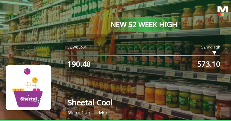 Broad-Based Technical Strength Lifts Sheetal Cool Products Ltd to 52-Week High of Rs 573.1
