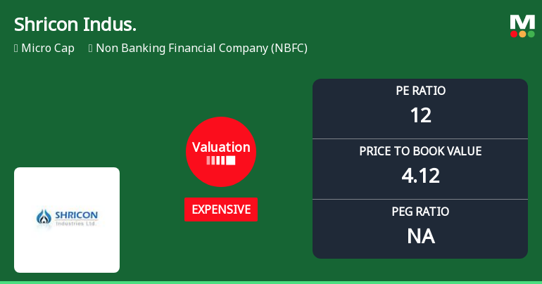 Shricon Industries Ltd Valuation Shifts Signal Price Attractiveness Challenges