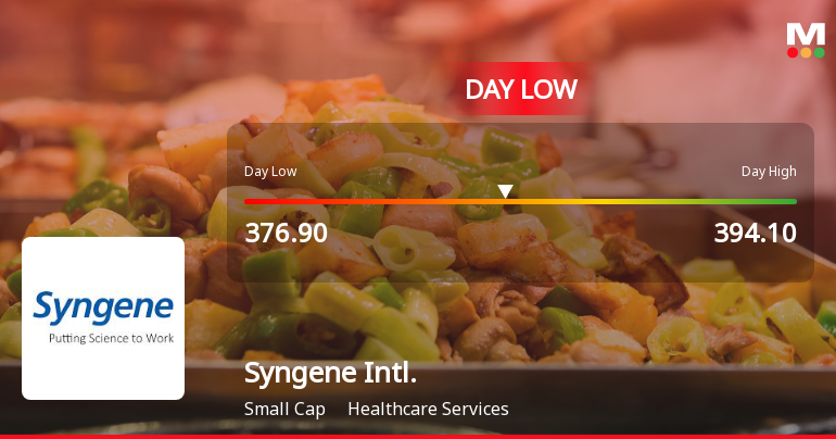 Syngene International Ltd Hits Intraday Low Amid Price Pressure on 30 Jul 2026