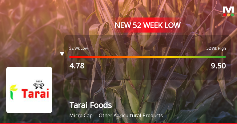 Tarai Foods Ltd Falls to 52-Week Low of Rs 4.55 as Sell-Off Deepens