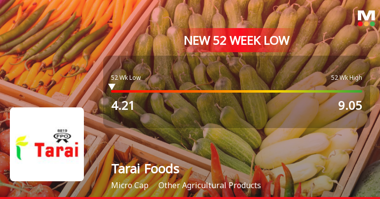 Five Consecutive Losses Push Tarai Foods Ltd to a New 52-Week Low