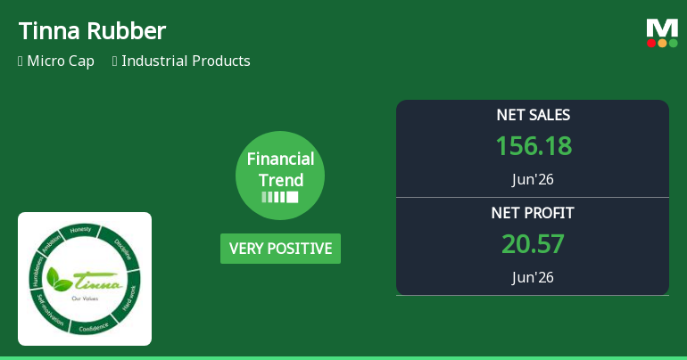 Tinna Rubber & Infrastructure Ltd Reports Very Positive Quarterly Financial Performance Amid Strong Market Returns